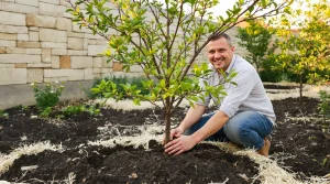 Ce fruitier rare et très productif à planter fin mars rate sa reprise sans ces 4 règles d’or