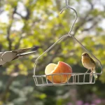 Il plie un simple cintre en métal en 3 minutes : la technique gratuite pour créer une mangeoire à oiseaux