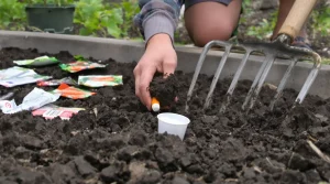 Vos semis d’avril sont compromis si vous n’avez pas fait ces 3 gestes au sol en mars, voici pourquoi