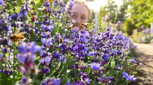 Jardin sans abeilles : cette couleur de fleurs méconnue les attire en quelques jours, voici pourquoi