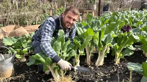 Les jardiniers amateurs oublient ce légume que les maraîchers, eux, n’oublient jamais
