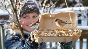 Ne jetez plus vos vieilles boîtes d’œufs : au jardin, elles attirent les oiseaux tout l’hiver