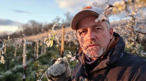 Pas de chasse aux œufs, mais aux dégâts du gel : la vérité sur les vignerons de Bourgogne