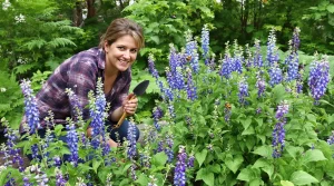 À planter maintenant : cette vivace aux fleurs bleues attire les abeilles et sublime le jardin