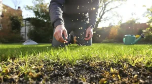 Ces 4 gestes simples et efficaces pour faire repousser sa pelouse au printemps, voici pourquoi