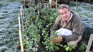 Les saints de glace, c’est fini : voici la date exacte que les jardiniers utilisent pour planter sans risque