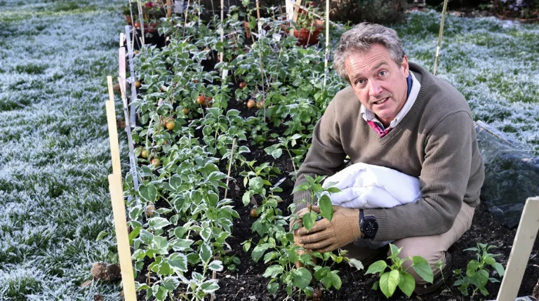 Les saints de glace, c’est fini : voici la date exacte que les jardiniers utilisent pour planter sans risque