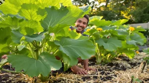Quel est le meilleur emplacement au jardin pour planter vos pieds de courgettes, voici pourquoi